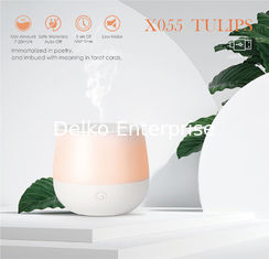 China Delko Ultrasonic Aroma Diffuser - Imagine Essential Oil Rechargeable Diffuser 80 ml in Iridescent supplier